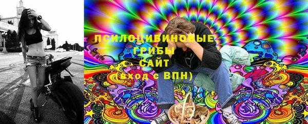 шишки Бородино